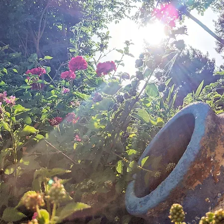 Seapine Apartamento *