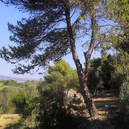 Apartamento Seapine *