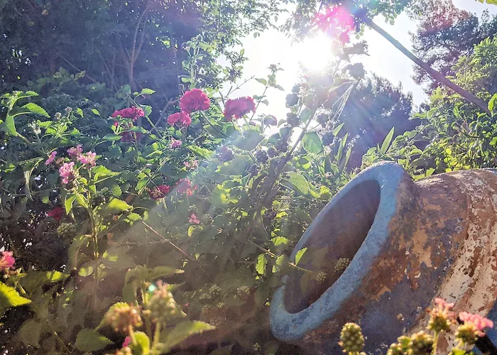 Seapine Apartamento *