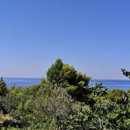 Seapine Apartment